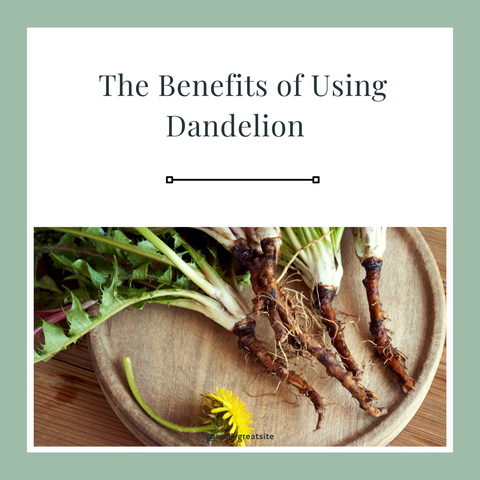 The Benefits of Using Dandelion