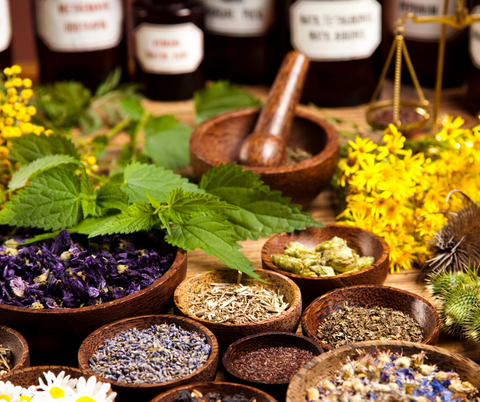 Herbs for Health